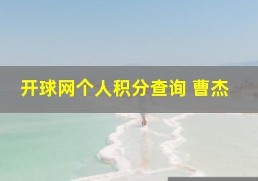 开球网个人积分查询 曹杰